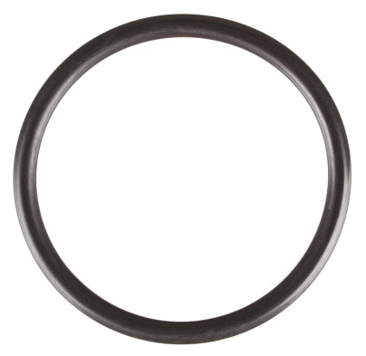 O-Ring PN 48 x 4 SH75